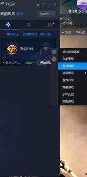 cf卡顿闪退最新爆料,揭秘游戏稳定性背后的秘密